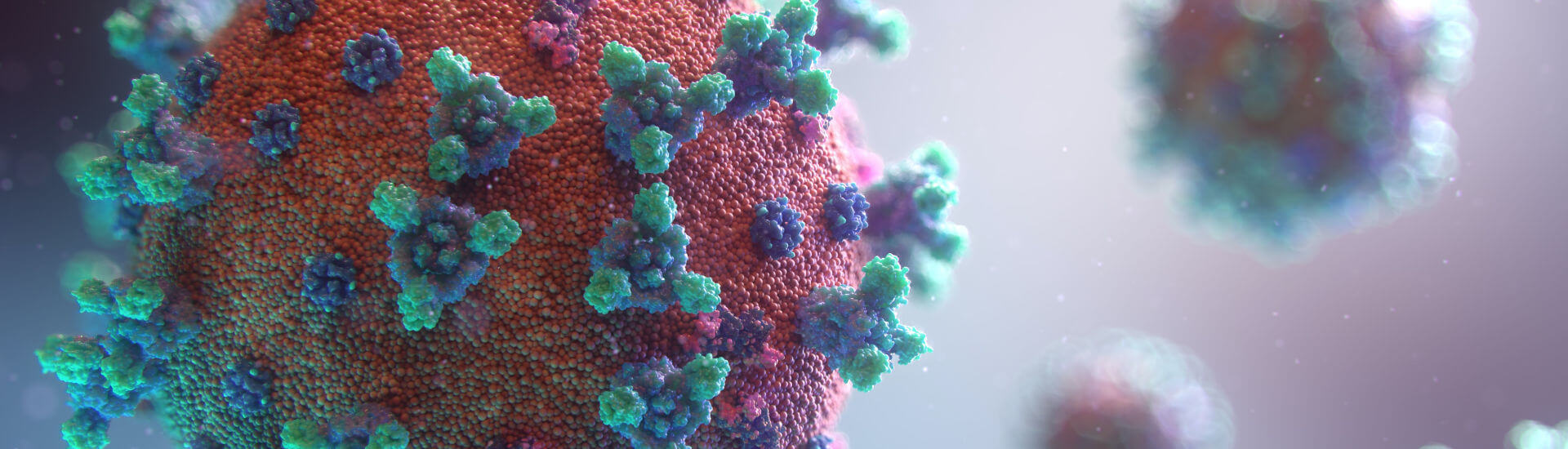 HerpesSimplexInfektion Teste dein Wissen! DocCheck