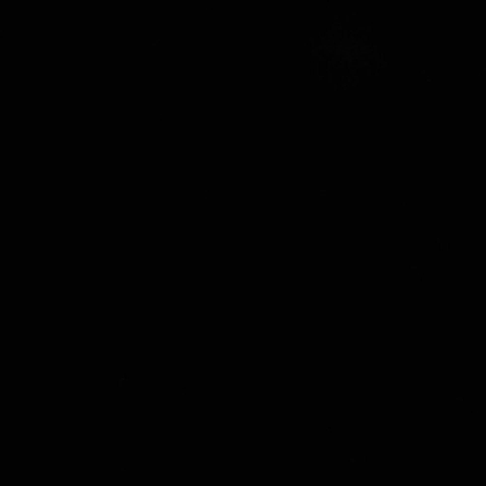 Xenopus laevis (Axon) - CIL:36842