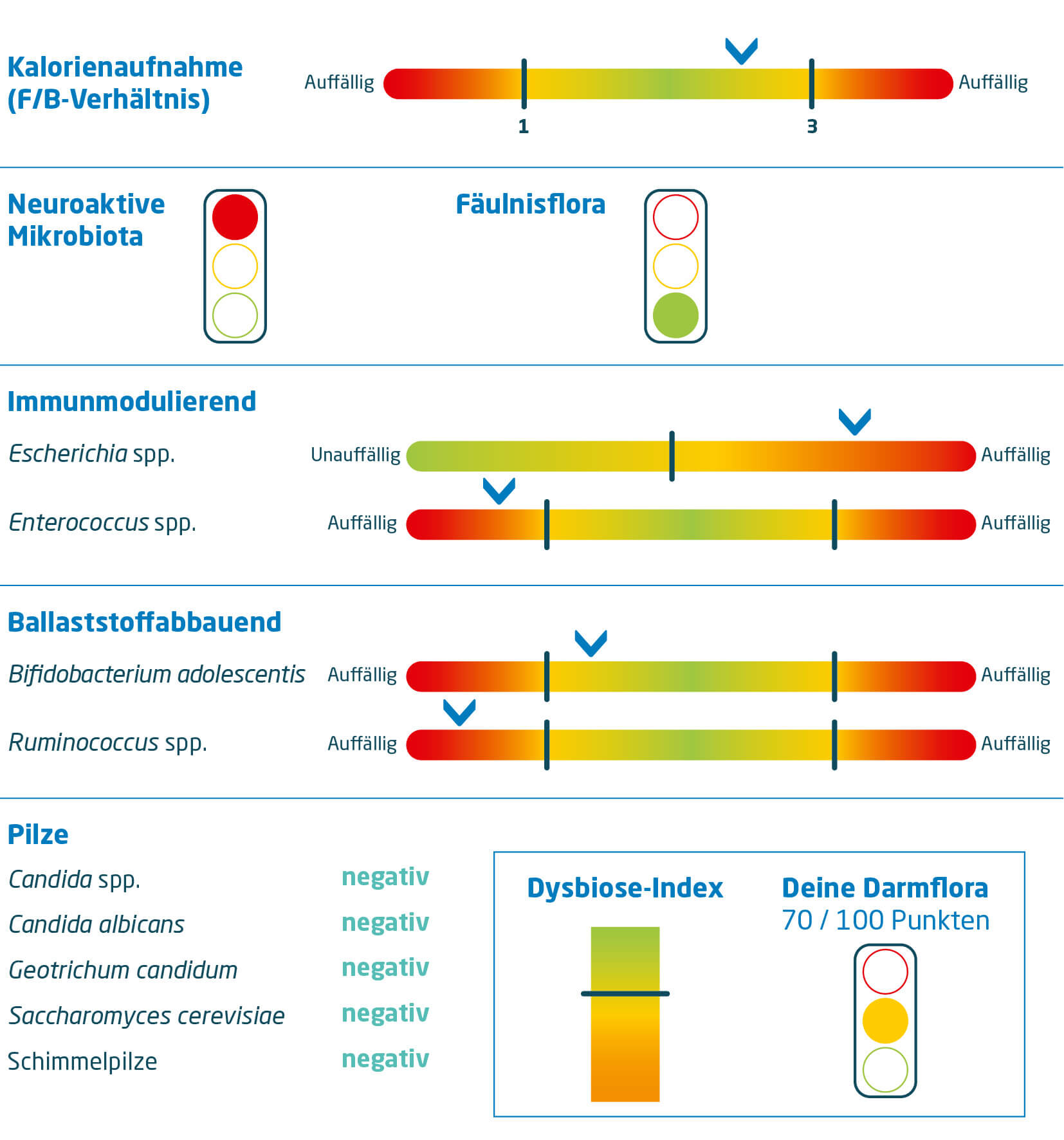 collo-05_abb7_darmflora-analyse_v_5_zeichenfl_che_1_original.jpg