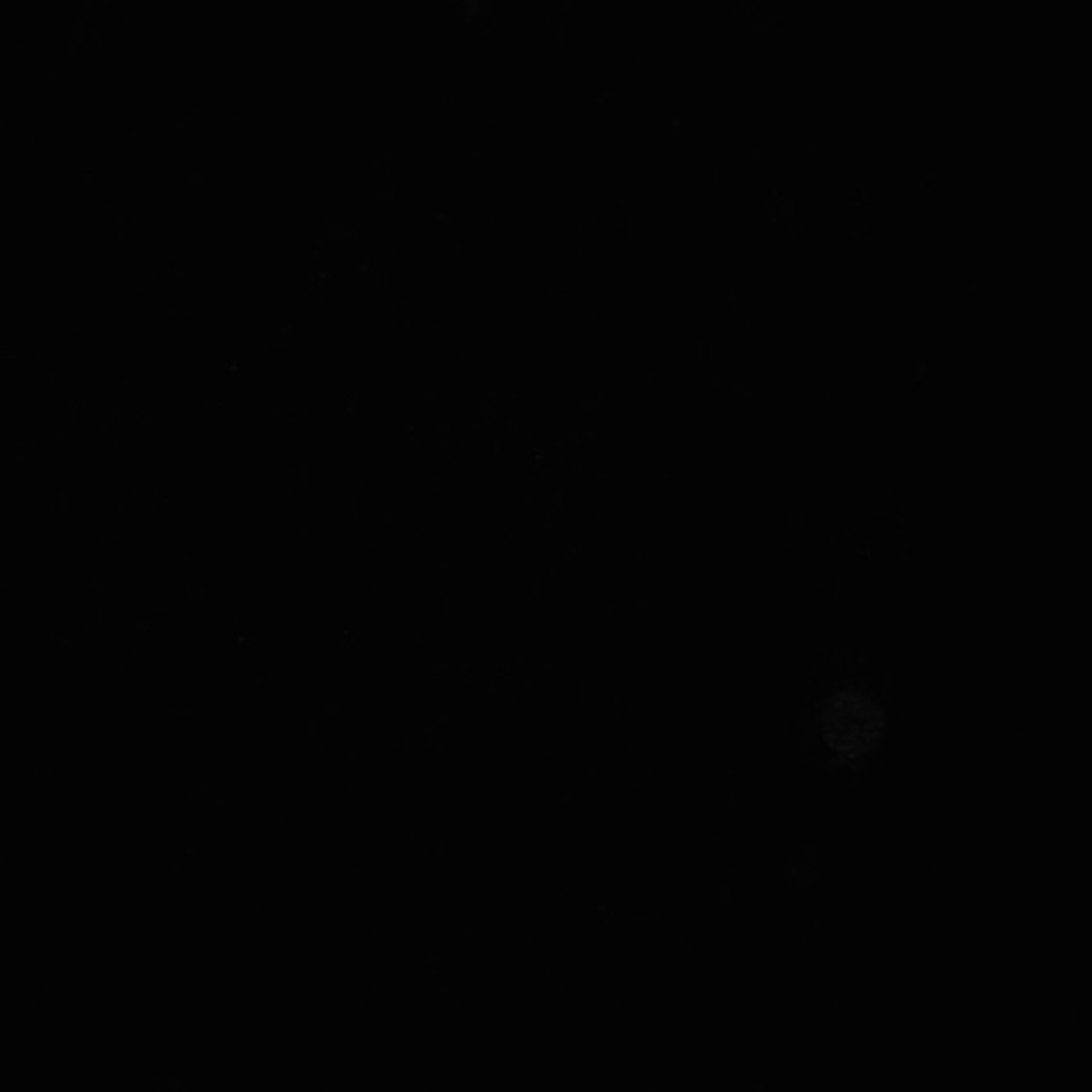 Xenopus laevis (Neuronal cell body) - CIL:37010