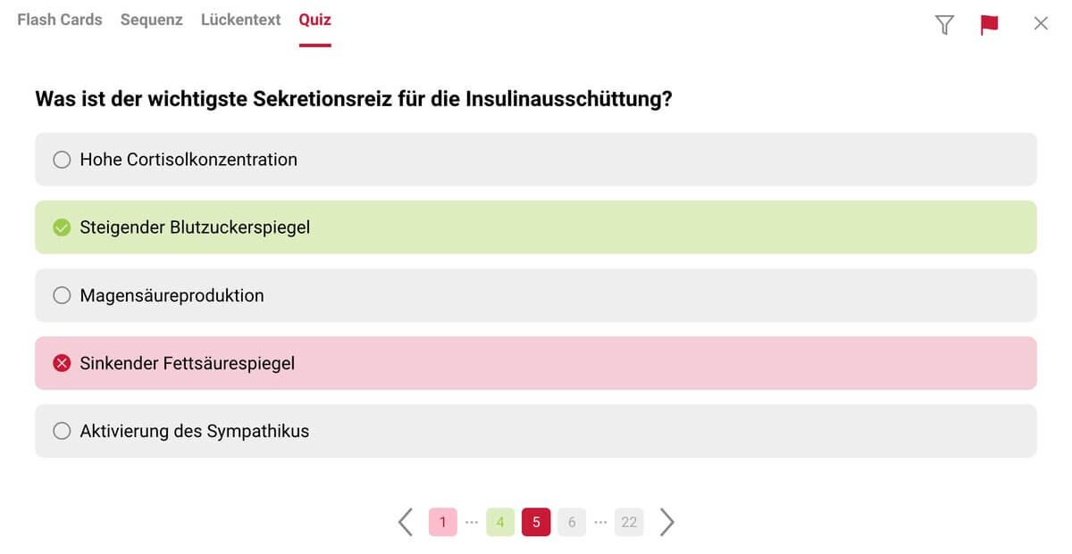 Trainier deine Lernmuskeln: Quiz (Desktop)