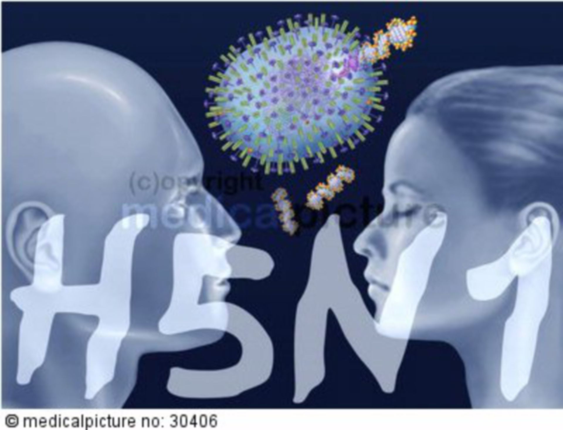  H5N1 Virus, Influenza-A, Vogelgrippe, avian influenza, bird flu 
