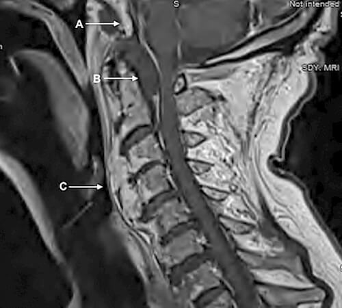 ccr34421-fig-0001-m__1__original.jpg
