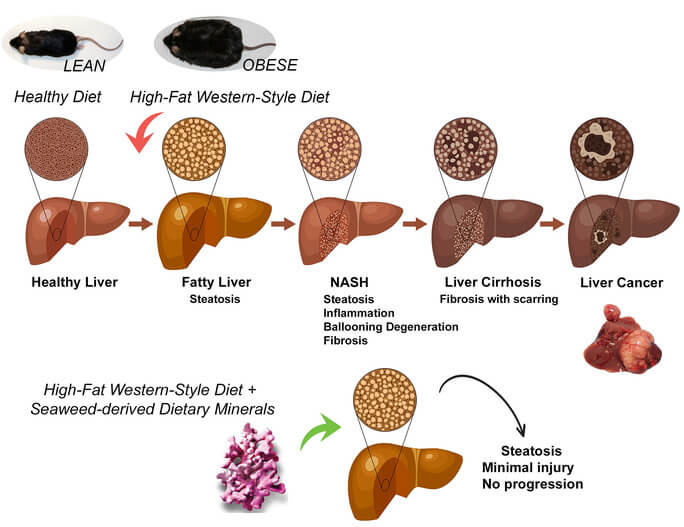 low-res_mineral_supp_aslam_eb-media_promotion_image_v2-03-2022_original.jpg