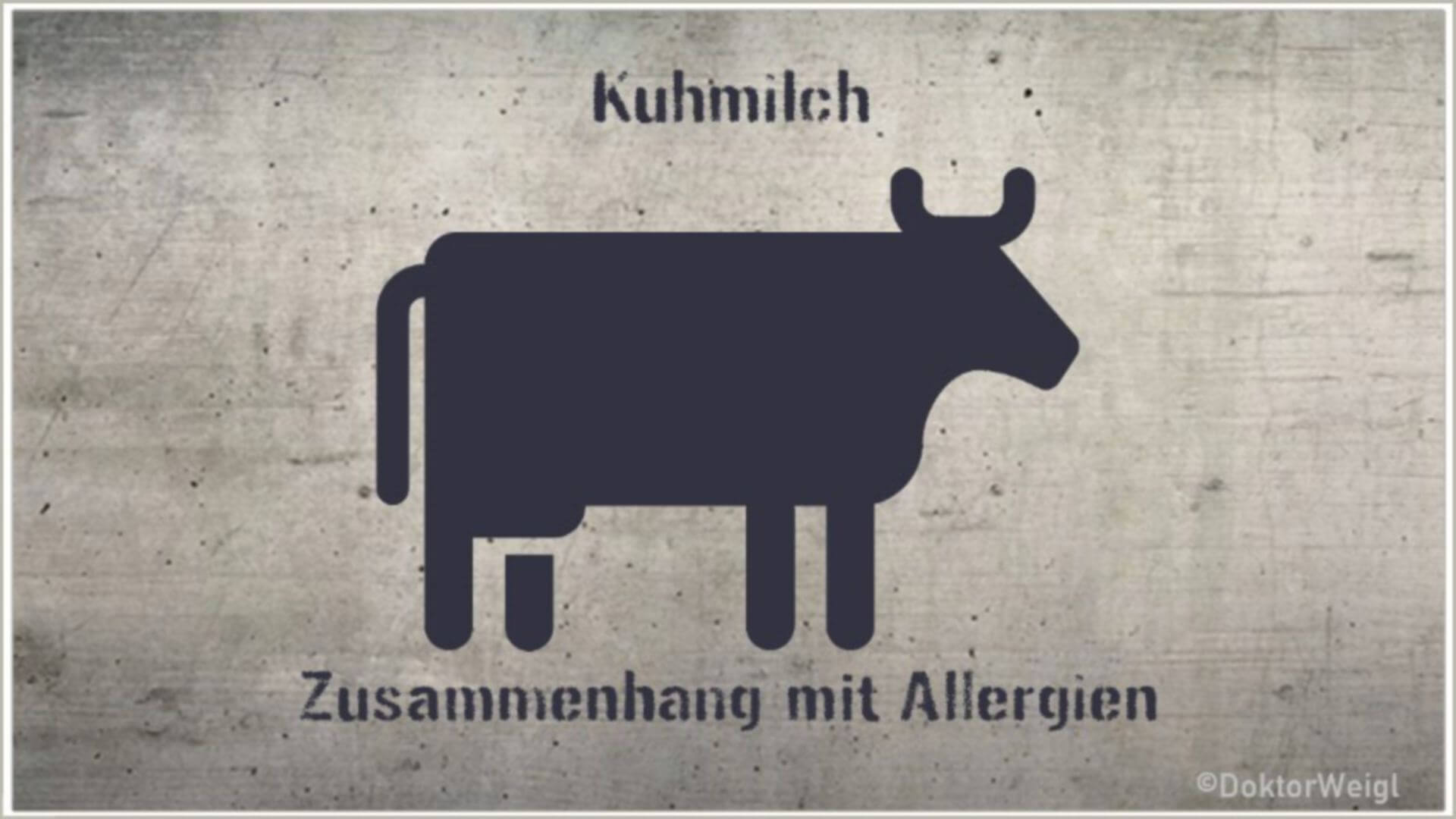 Die Milch machts – Schützt Kuhmilch vor Allergien?