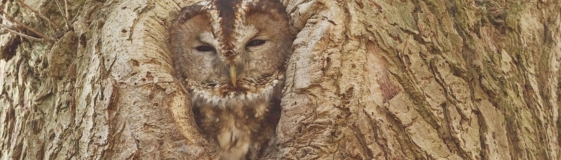 Gut getarnt DocCheck