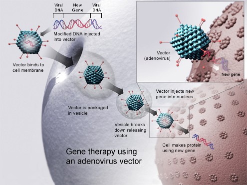 gene_therapy_original.jpg