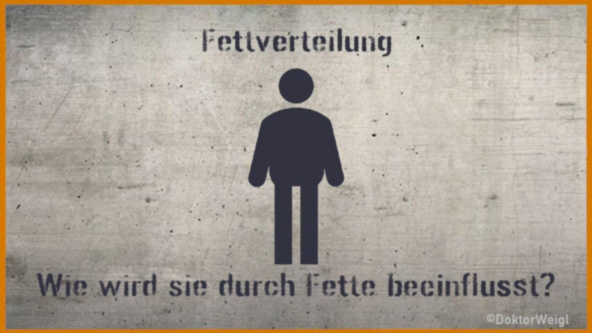 Transfette im Check – Beeinflussen sie die Fettverteilung?
