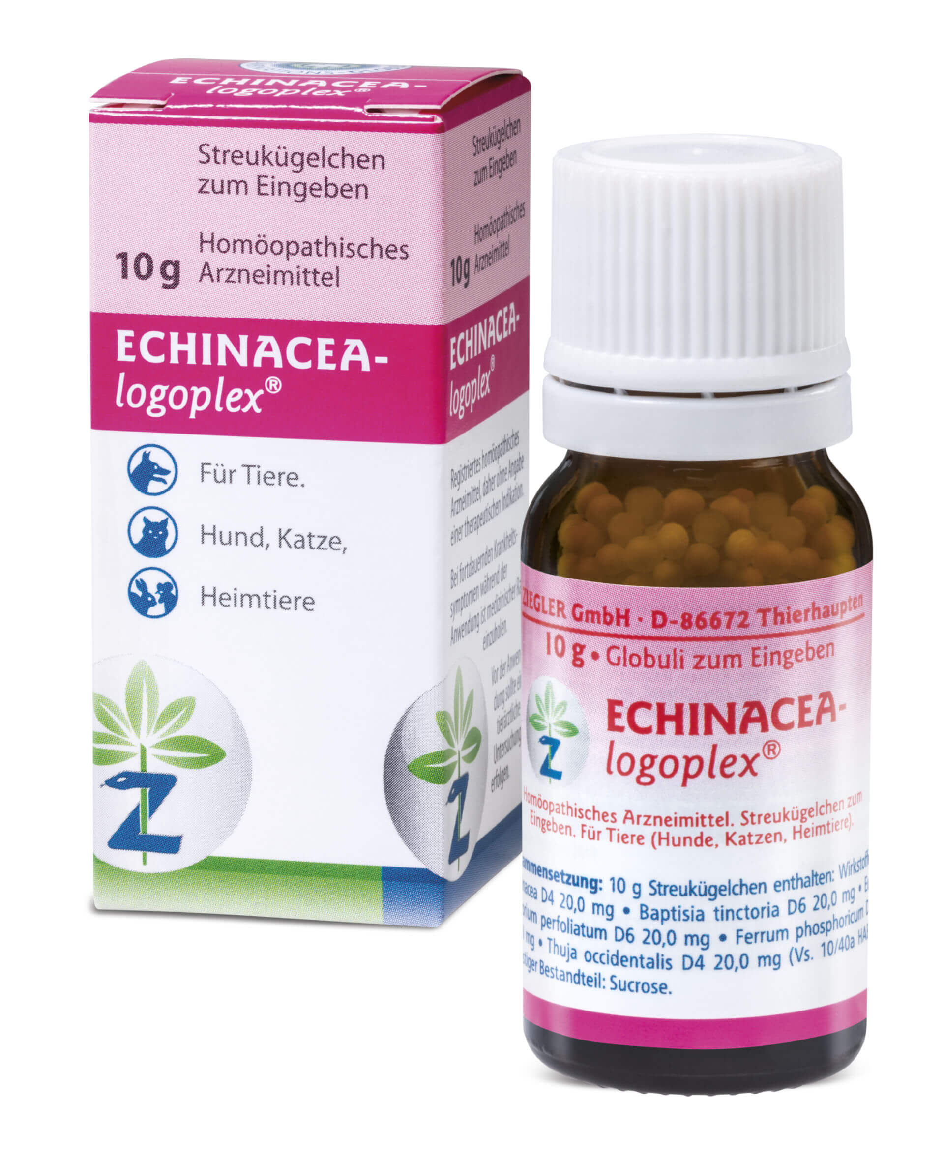 Echina logoplex
