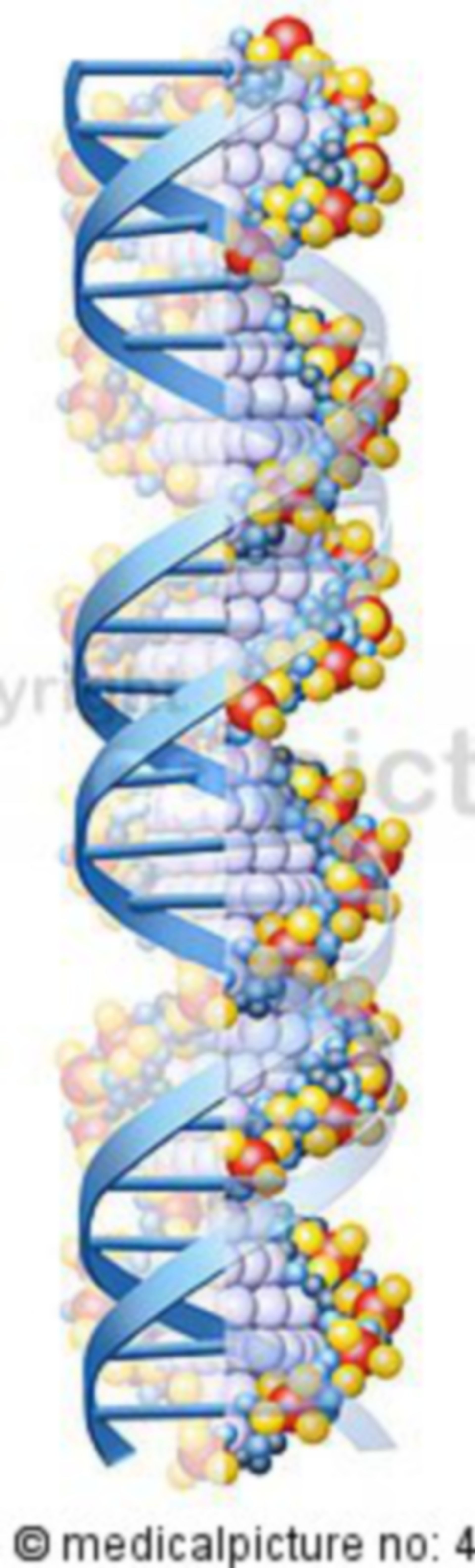  DNS Helix, DNA Helix 
