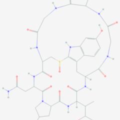 Amanitin DocCheck Flexikon