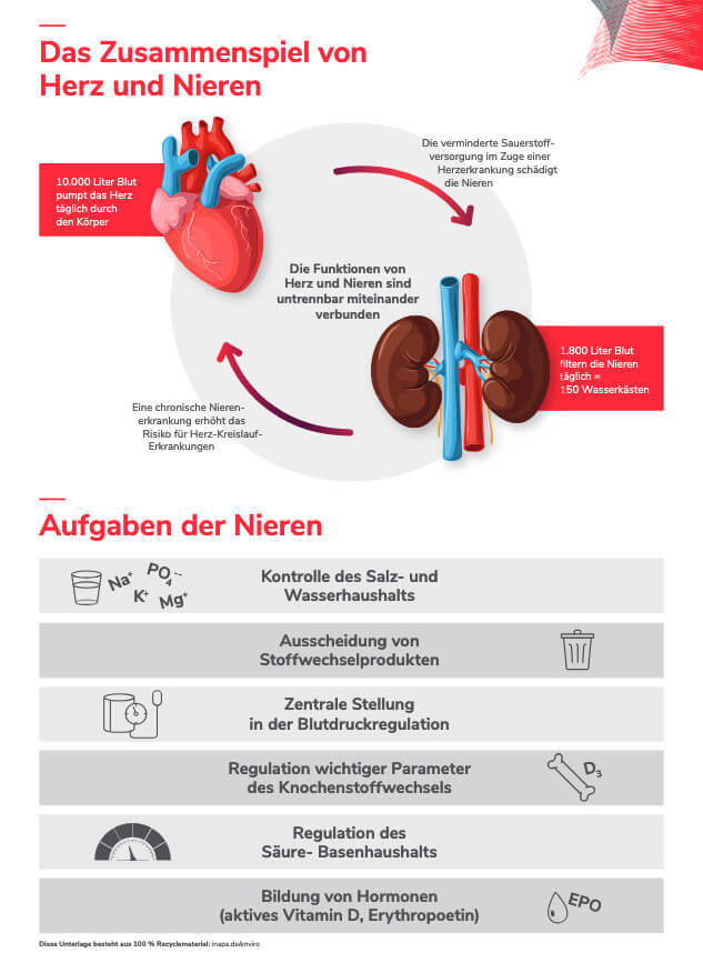 abbildung_zusammenspiel_herz_nieren_original.jpg