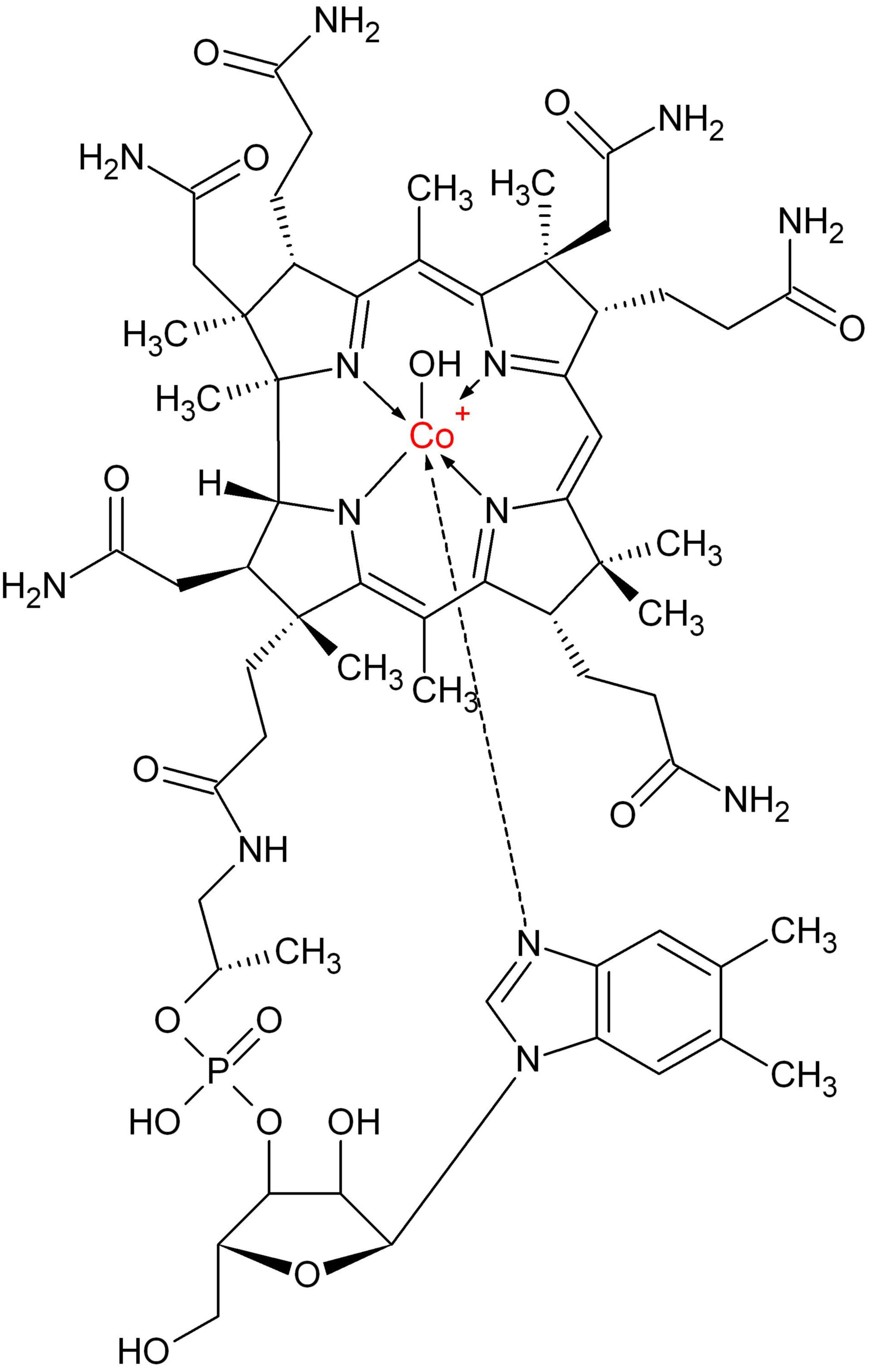 Hydroxocobalamin, Vitamin B12