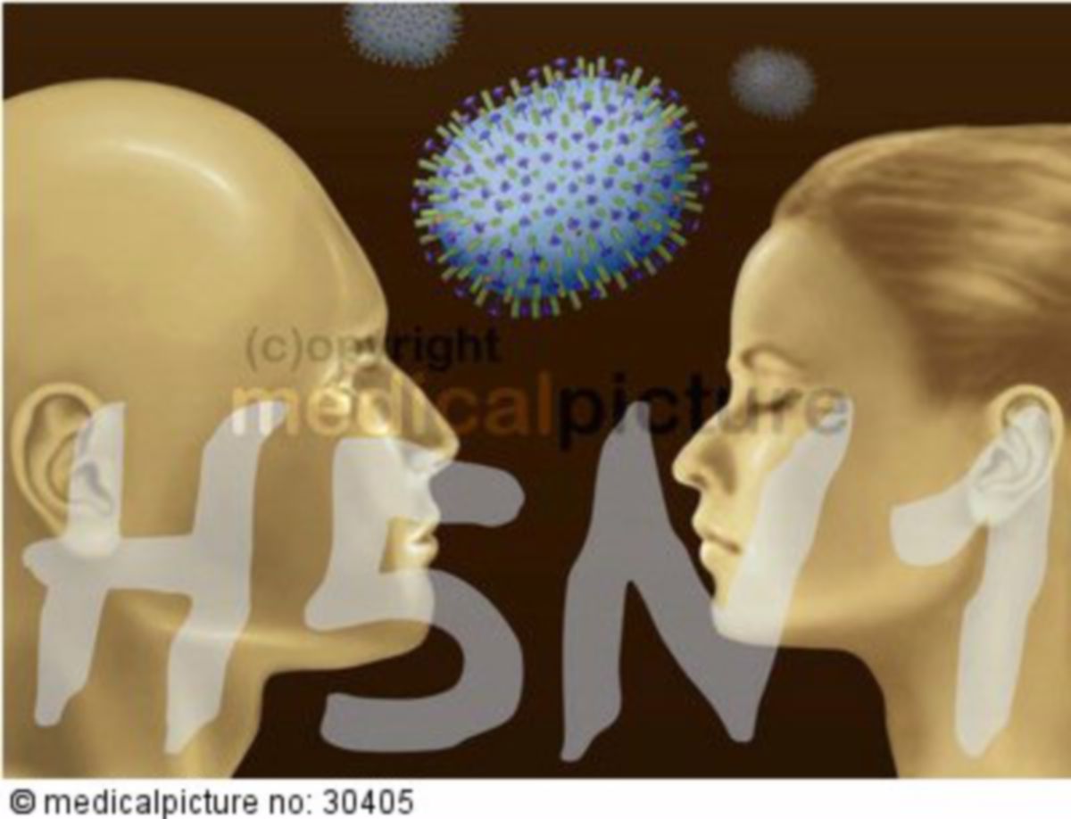 InfluenzaA(H5N1)Virus DocCheck Flexikon