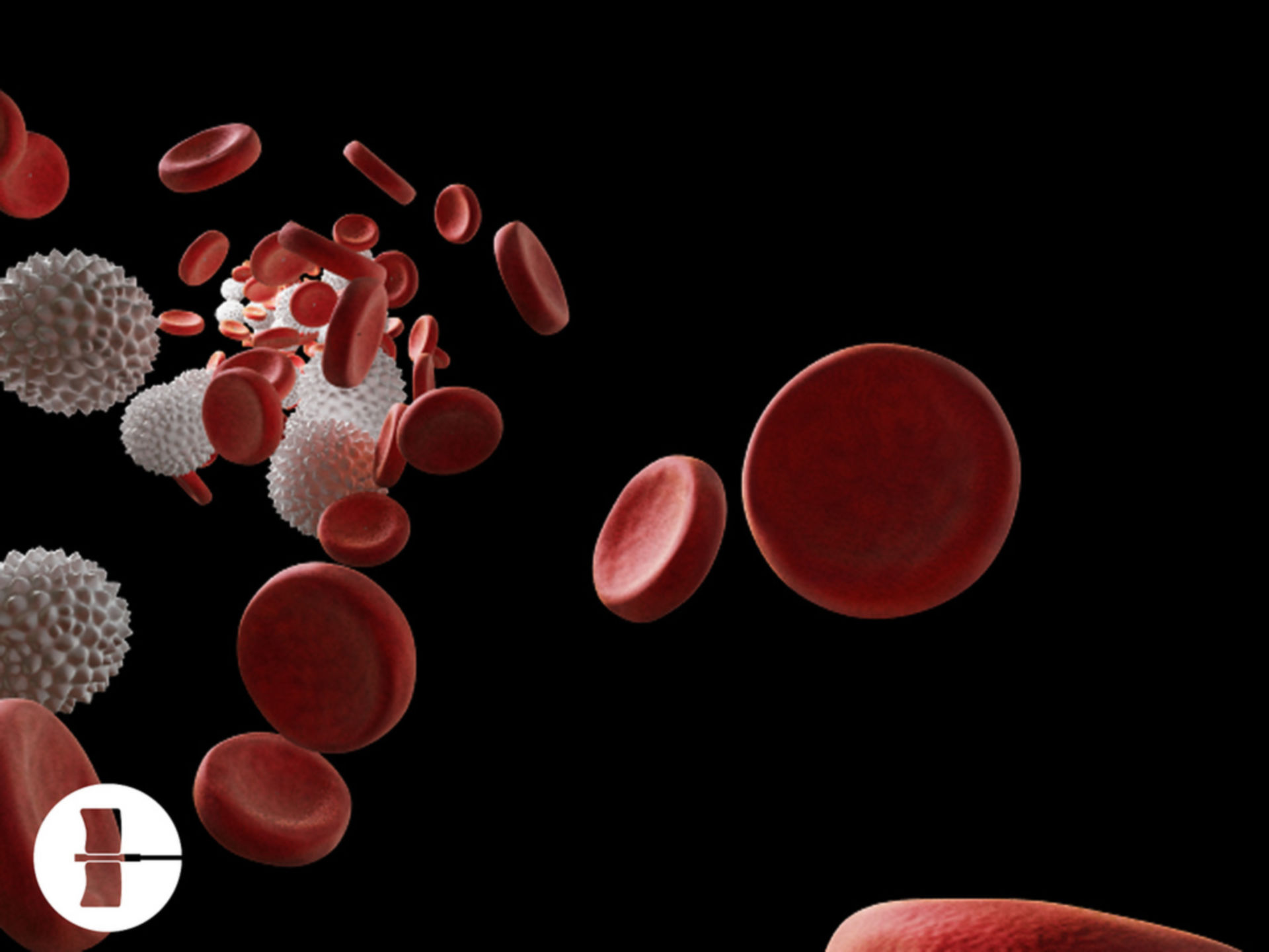 Red and white blood cells