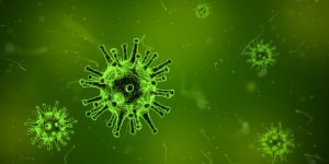 Bisher wurden für Grippeimpfstoffe die Stecknadelkopf-artigen Oberflächenproteine verwendet. Neue Ansätze zielen auf die universellen Hüllproteine. Credit: Pixabay, gemeinfrei