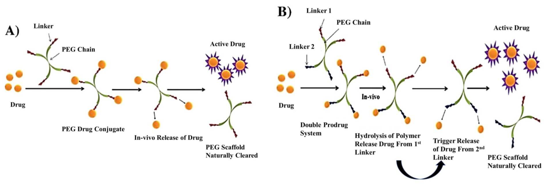 PEGylation of Small Molecule Drugs