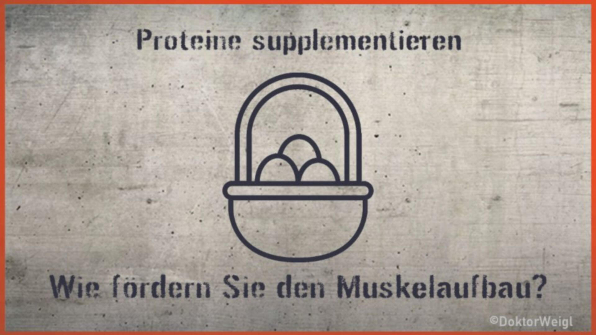 Fördern Proteine den Muskelaufbau? Das sagt die Forschung