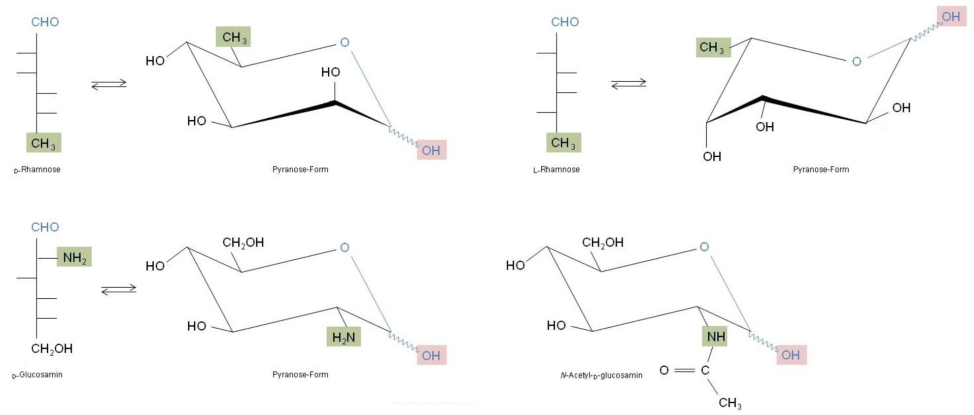 Wichtige Monosaccharide