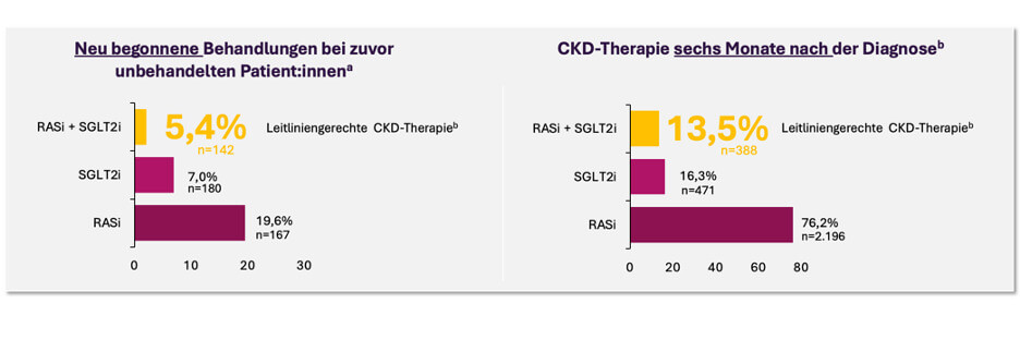 abbildung_1_ckd-therapie_original.jpg