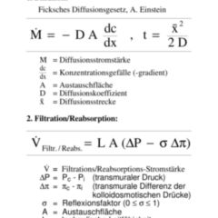 Glomeruläre Filtration - DocCheck Flexikon