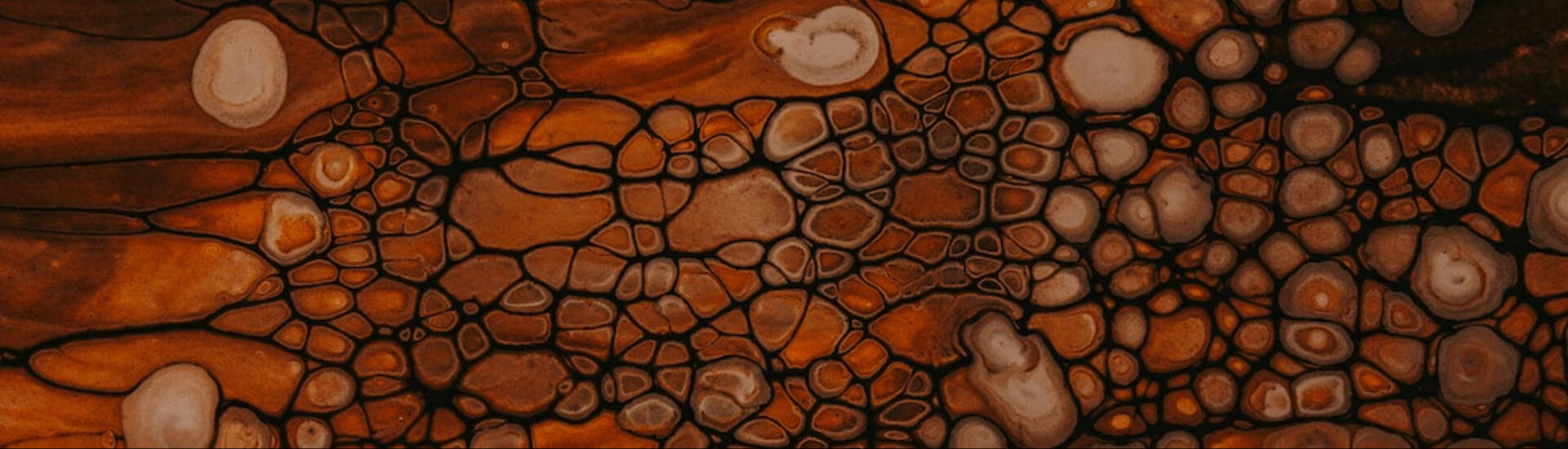 The Link Between Daily Aspirin Use and Increased Risk of Anemia and