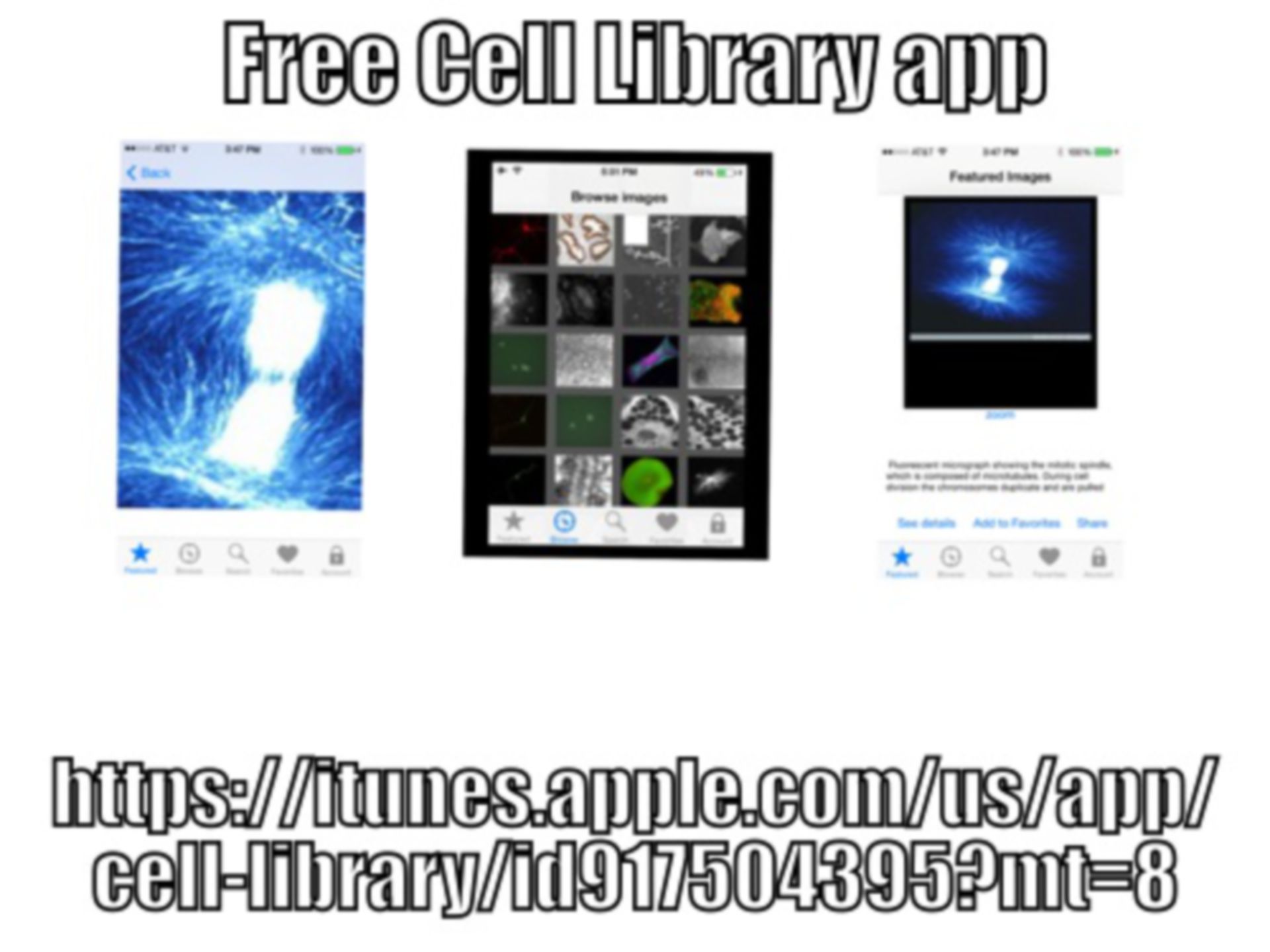 The Cell - Kostenlose App