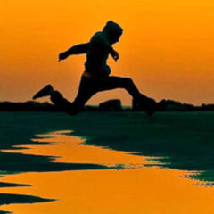 Zelllinie DocCheck Flexikon