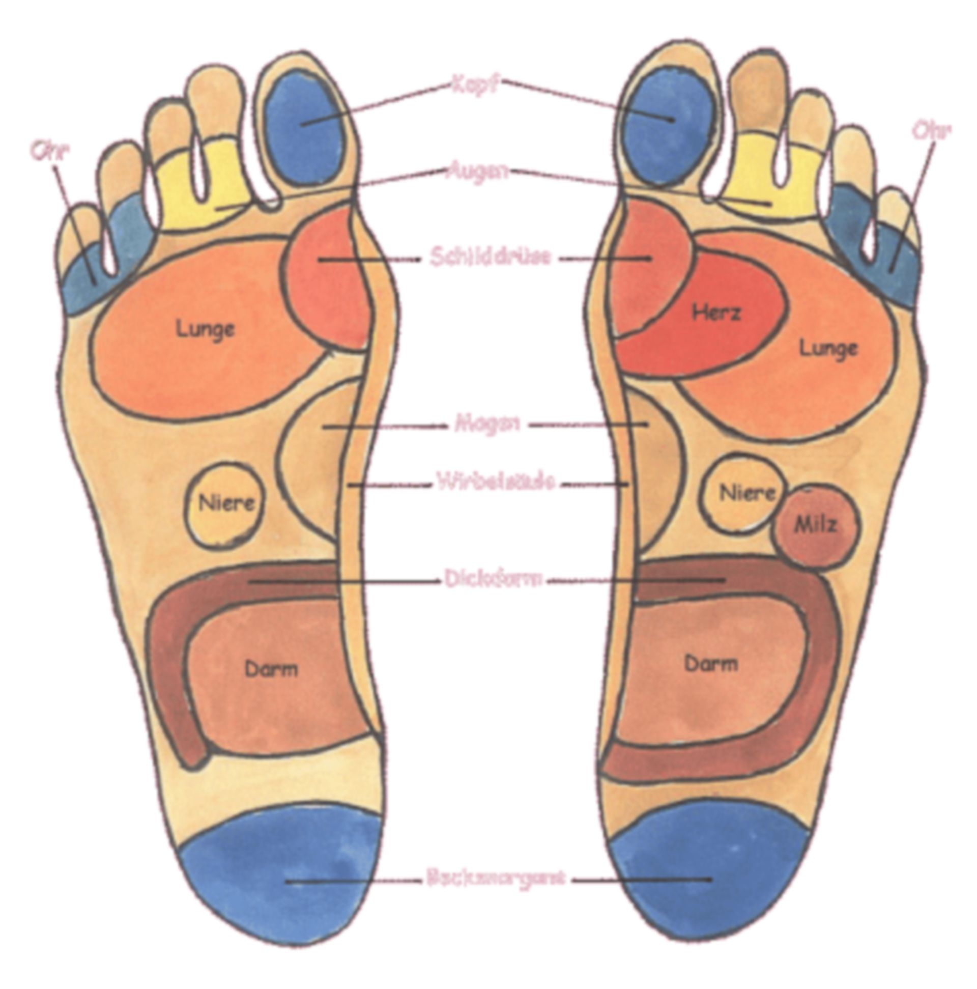 Reflexzonen als Grundwissen für eine Fußmassage