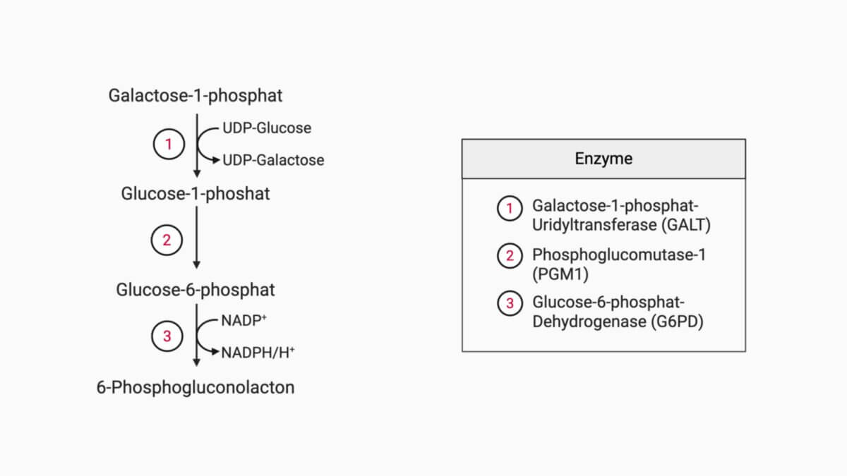 Beutler Test Reaktionen