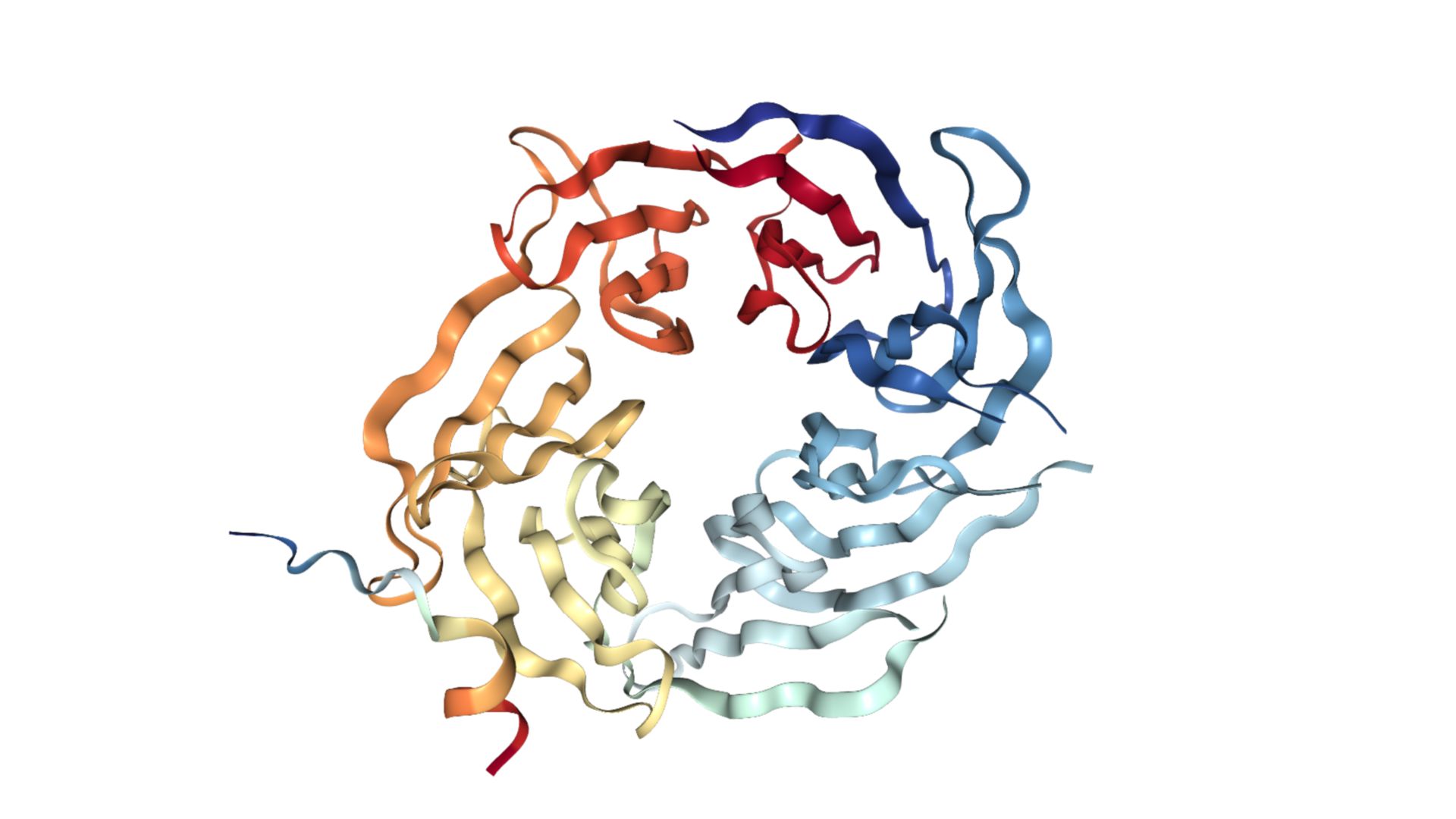 Proteinstruktur PALB2