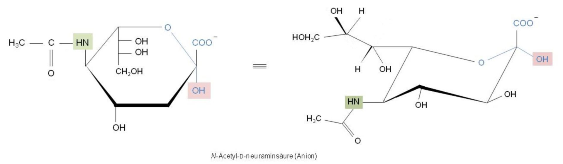 N-Acetyl-D-neuraminsäure