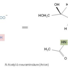 Polymorphie (Chemie) DocCheck Flexikon