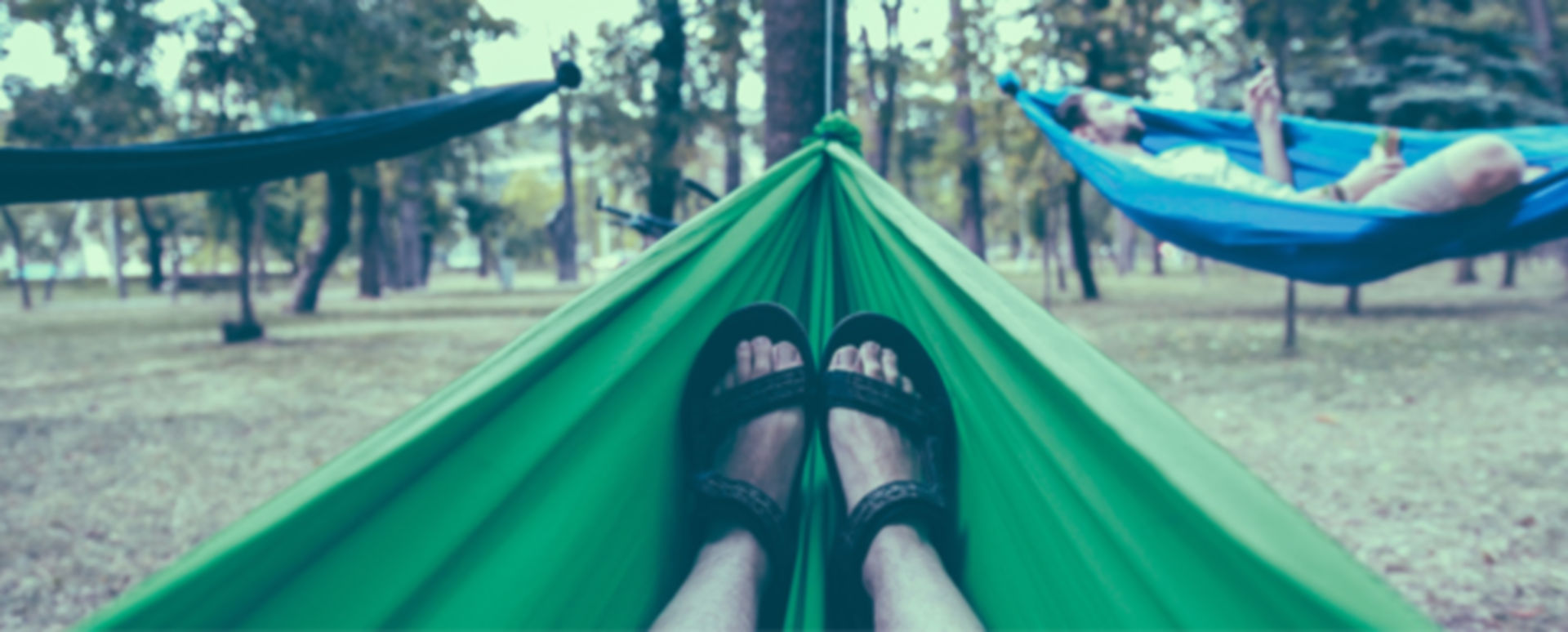 Stammzelltransplantation Schonendere Variante? DocCheck