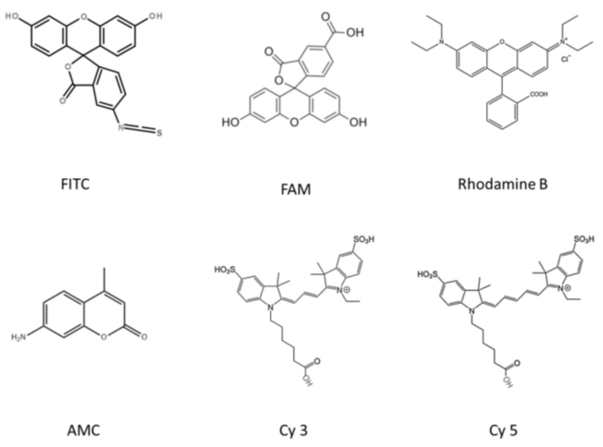 Fluorescent Labeling Technology