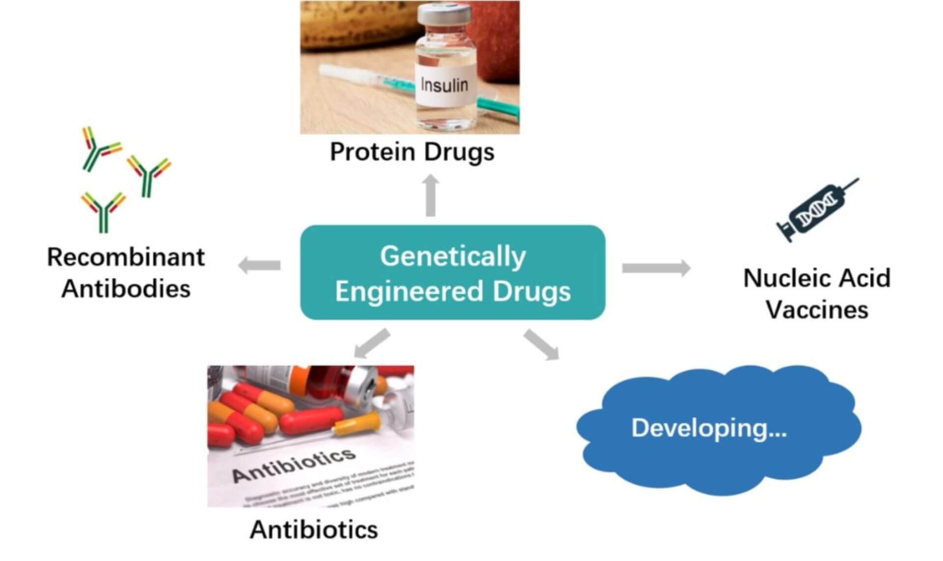 Genetically Engineered Bacterias Drugs Based on htDNA-chip®