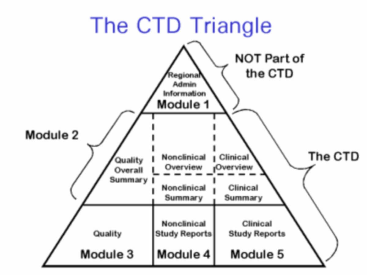 Schema Common Technical Document