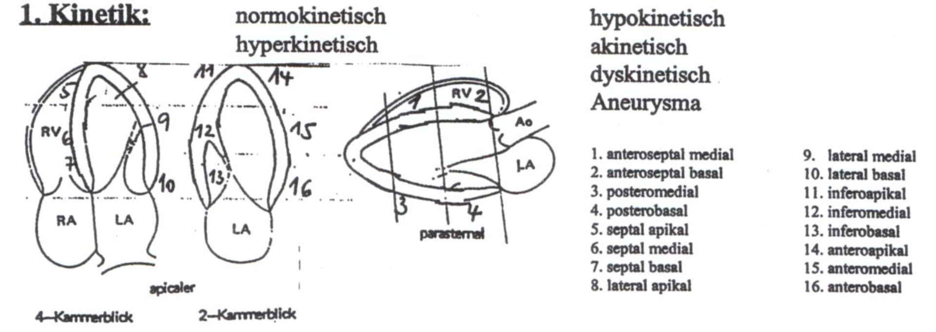 Echokardiographie