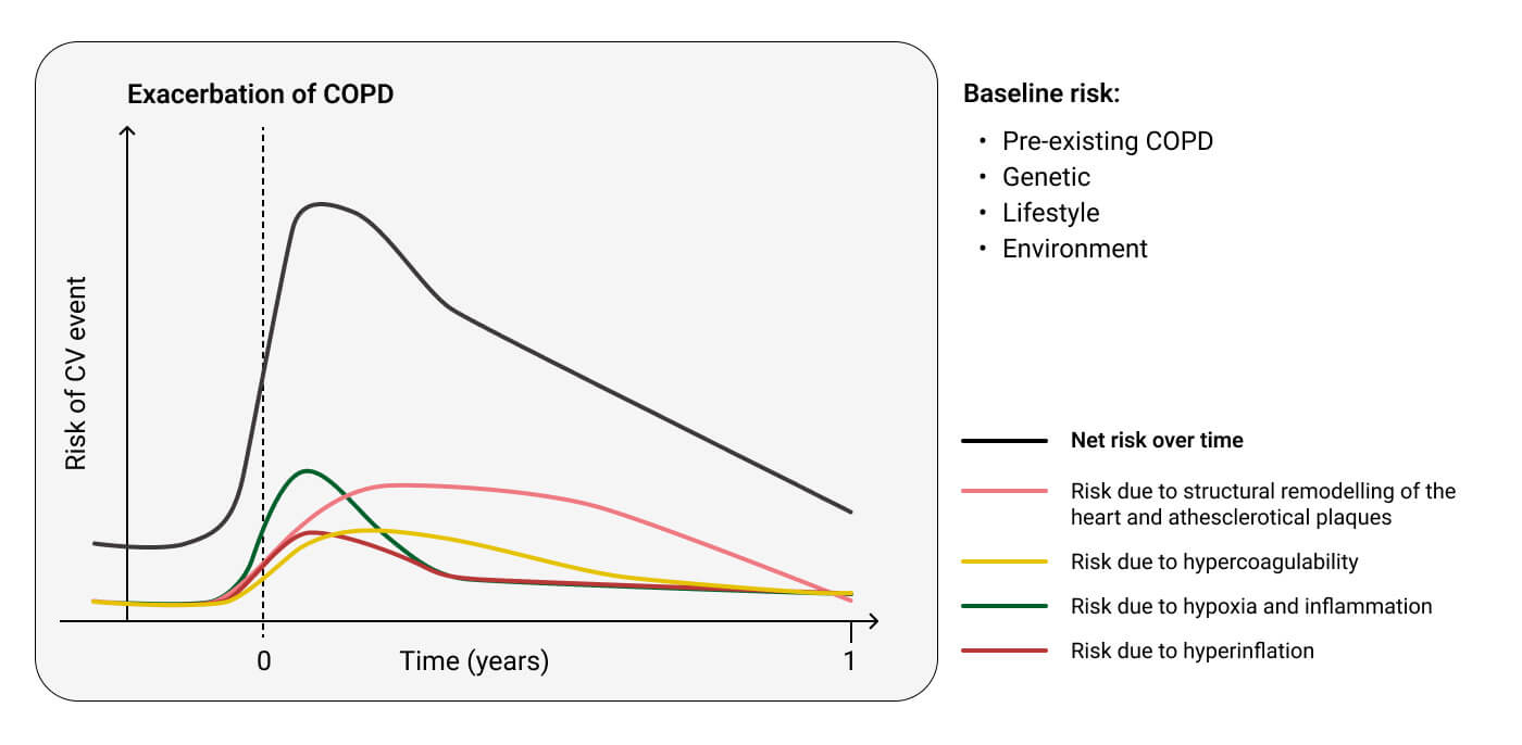 chiesi_32.1_grafik_copd-exazerbation_original.jpg