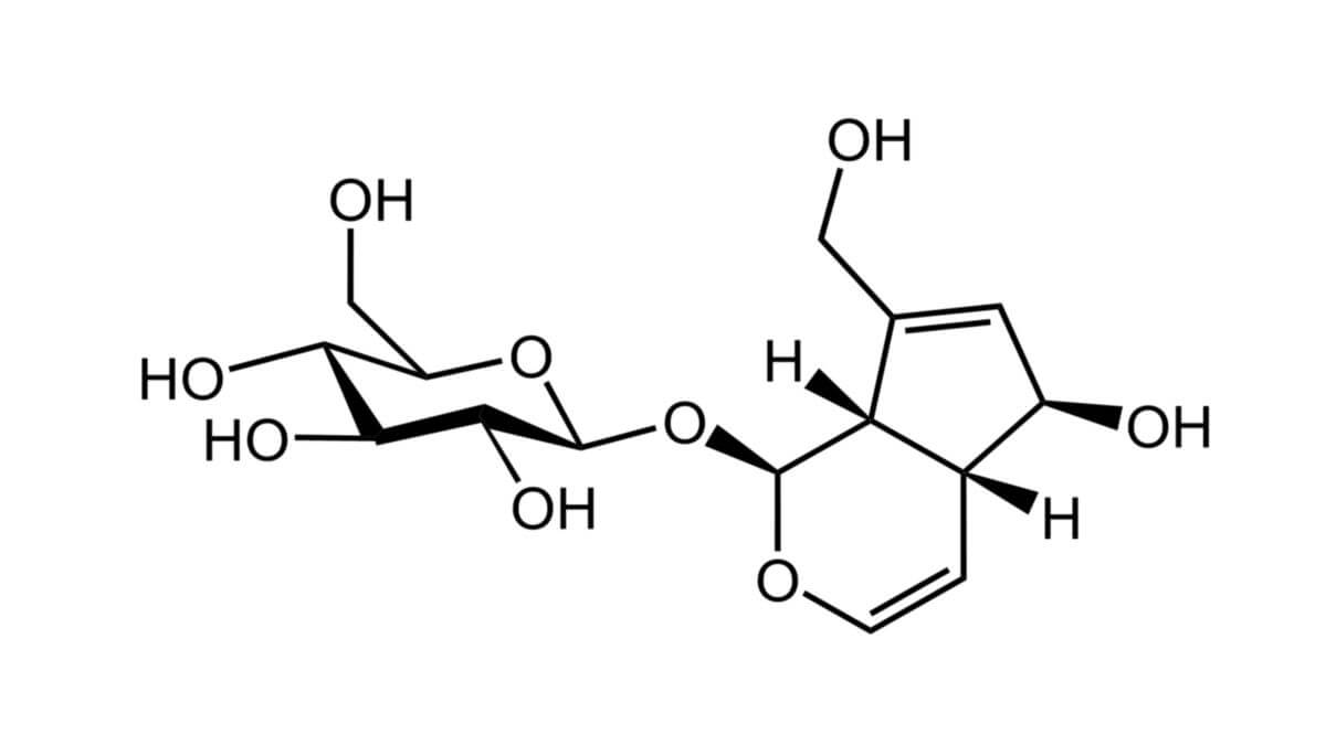 Aucubin