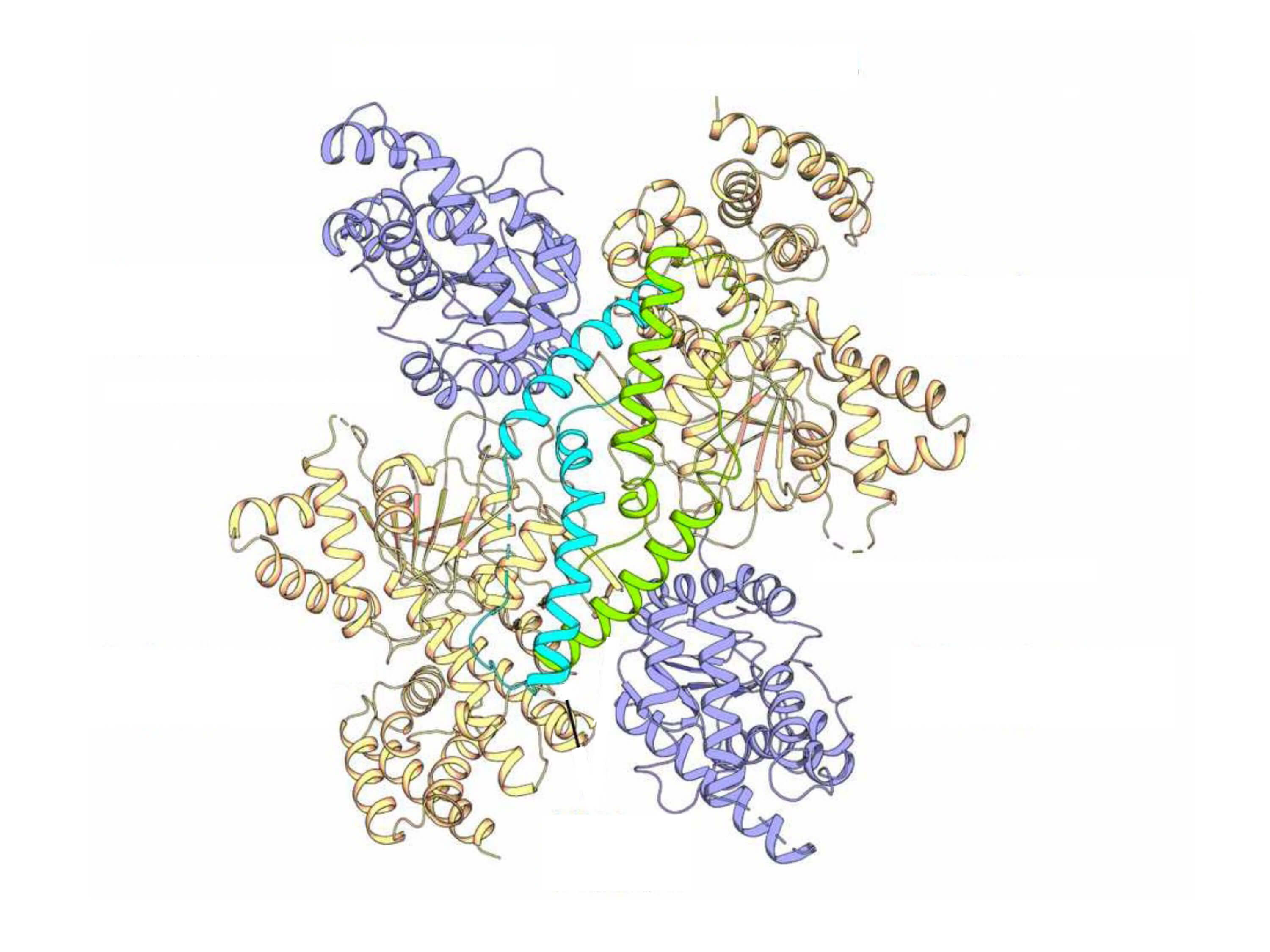 pm_04_krankenhauskeim_mannitolsynthesizingenzyme_klaasmartinuspo_original.jpg