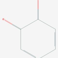 Chinon DocCheck Flexikon