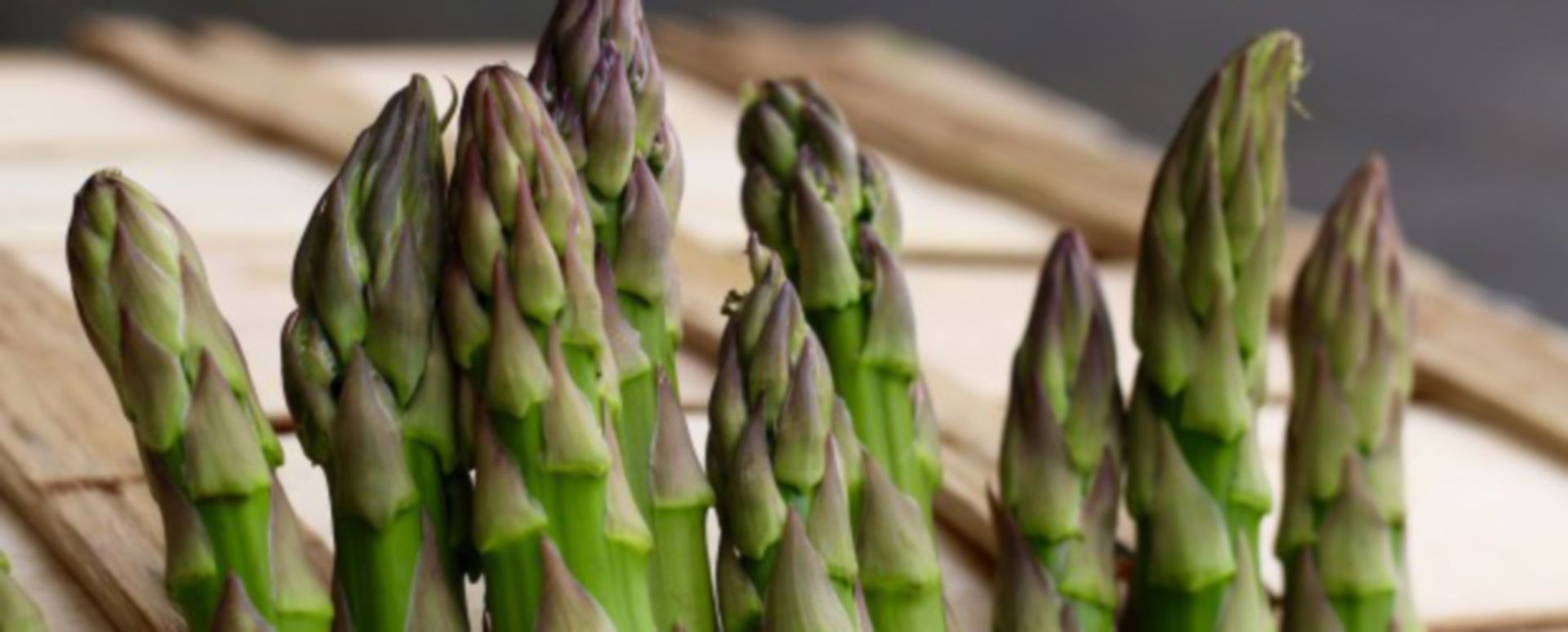 Asparagin und Metastasenwachstum DocCheck