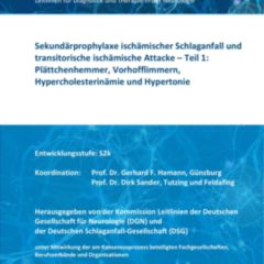 Sekundärprävention Von Schlaganfällen: Neue Leitlinie - DocCheck