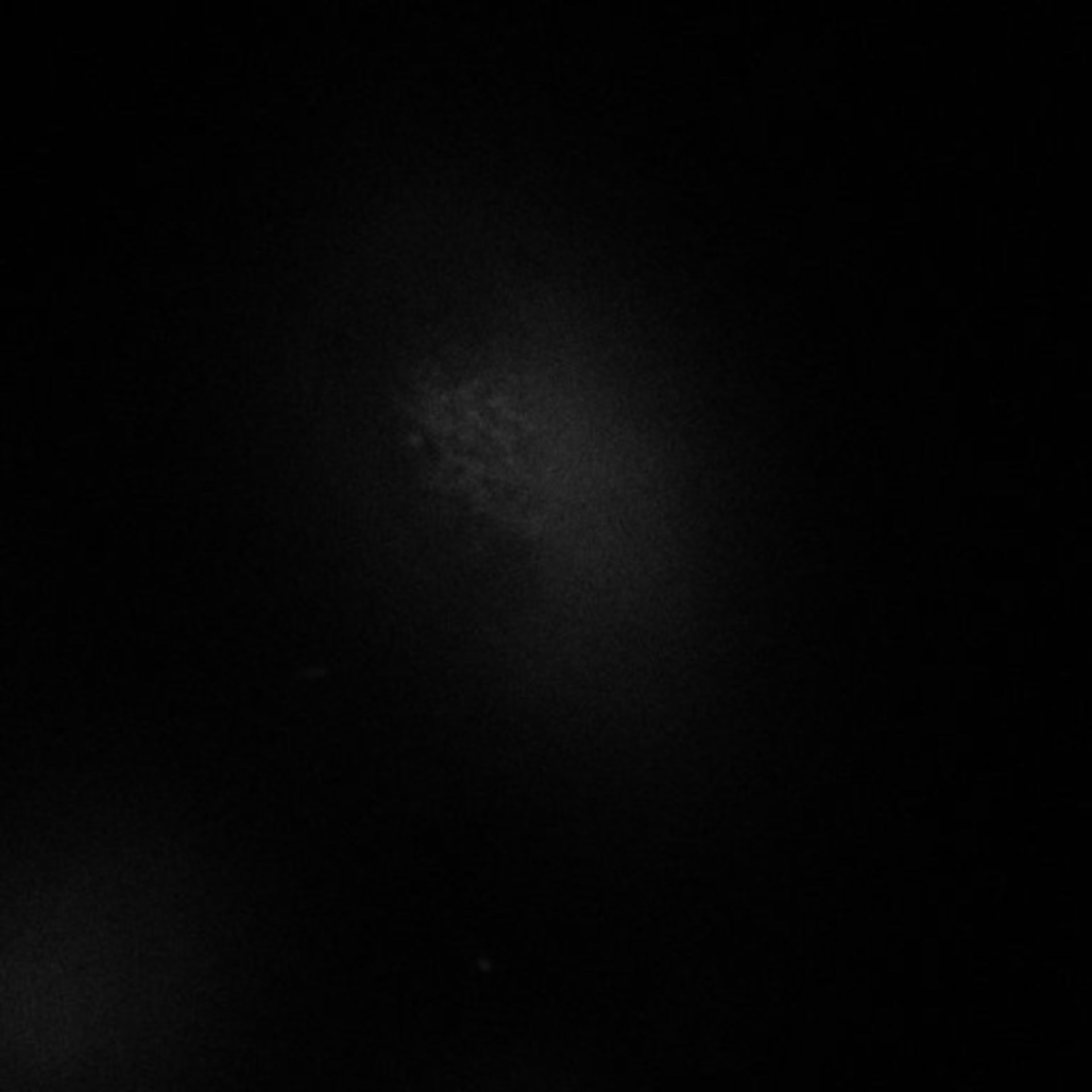 Homo sapiens (Endoplasmic reticulum) - CIL:9162
