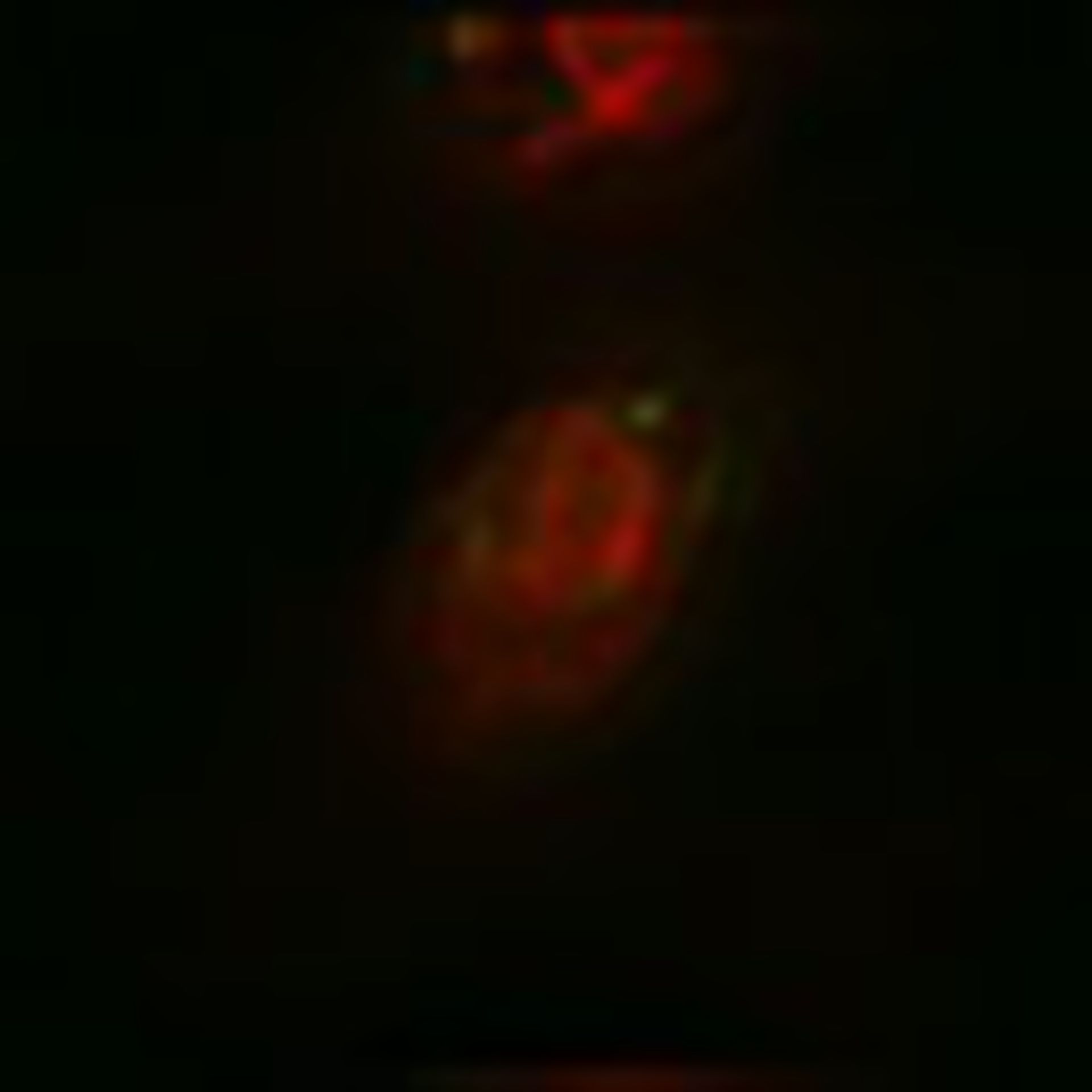 Toxoplasma gondii RH (Polar ring of apical complex) - CIL:10500