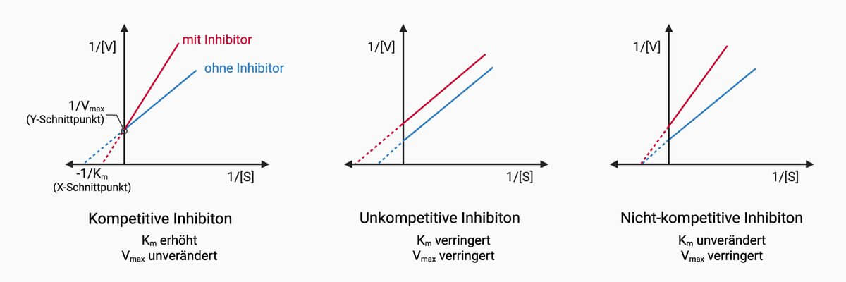 Inhibitoren im Lineweaver-Burk-Diagramm