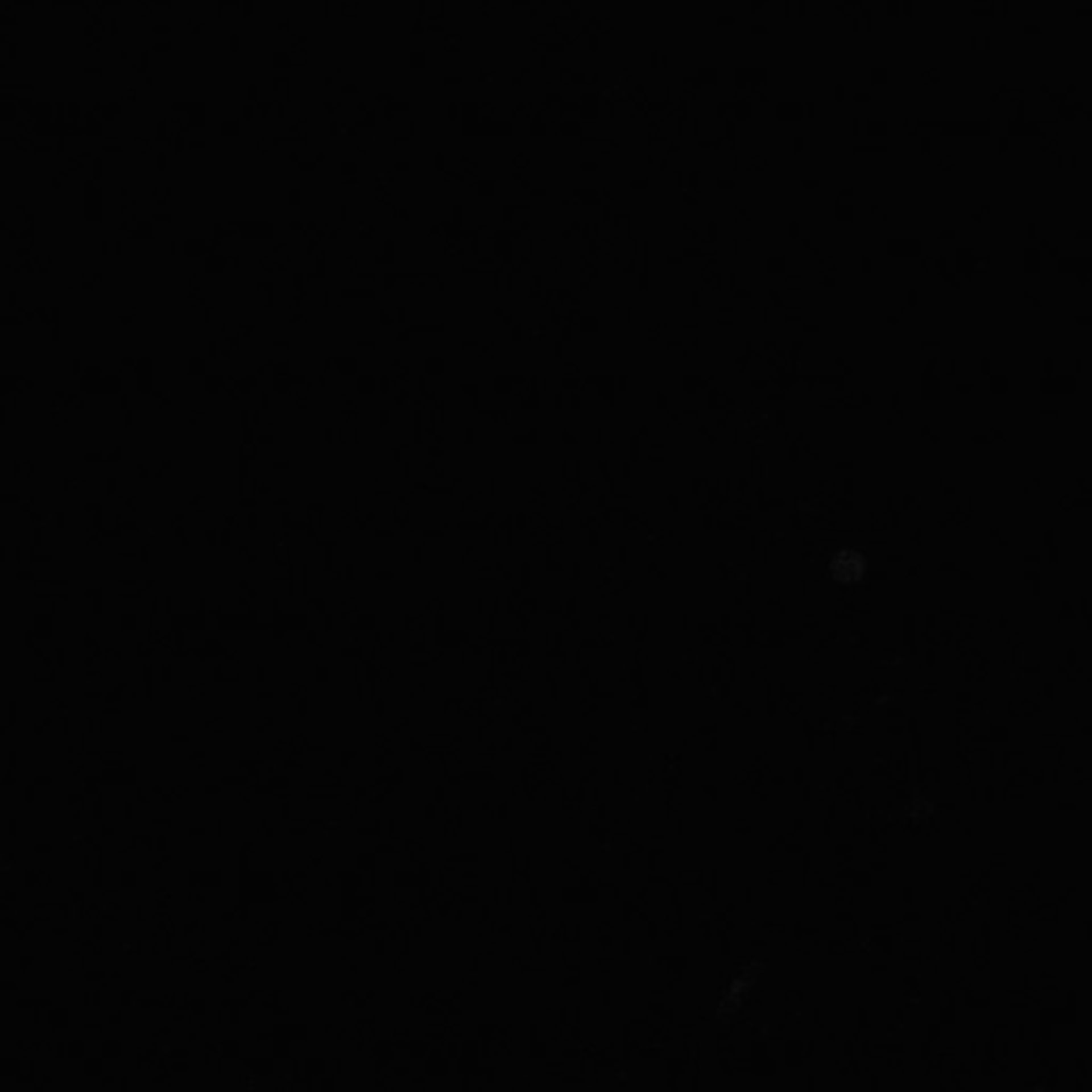 Xenopus laevis (Cytoplasm) - CIL:36890