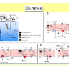 Diuretikum - DocCheck Flexikon