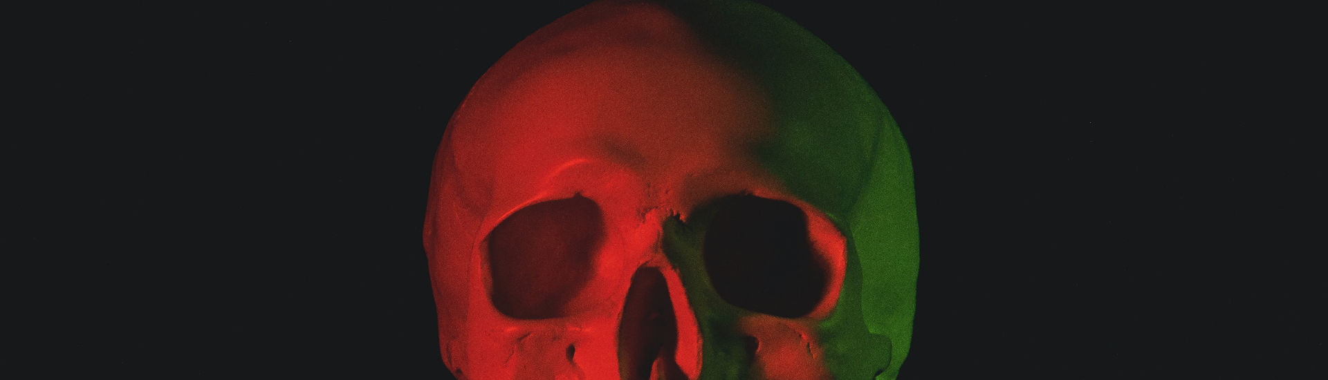 AnatomieCheck Orbita DocCheck